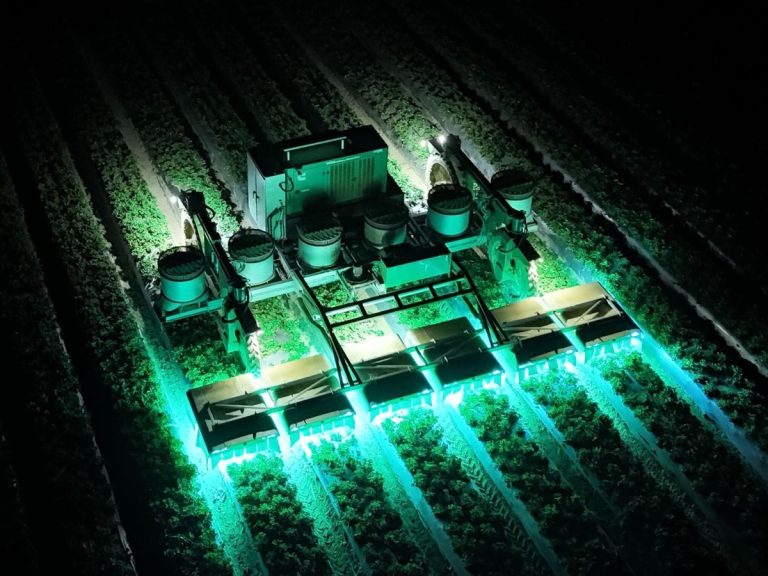 How TRIC Robotics is reducing pesticide use on strawberries using UV light